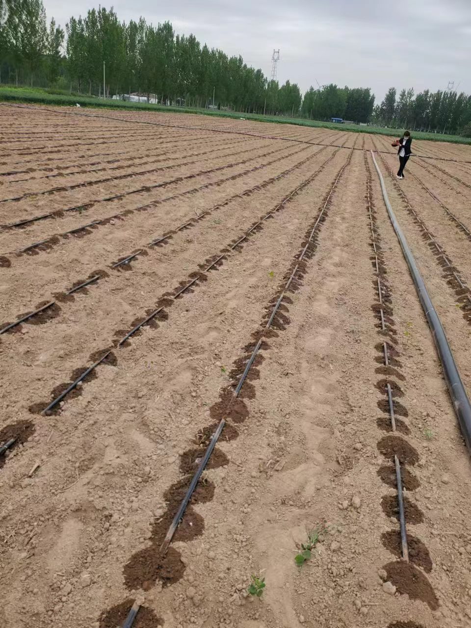迷宫带用处