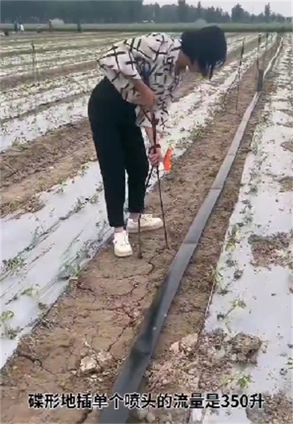 滴灌带