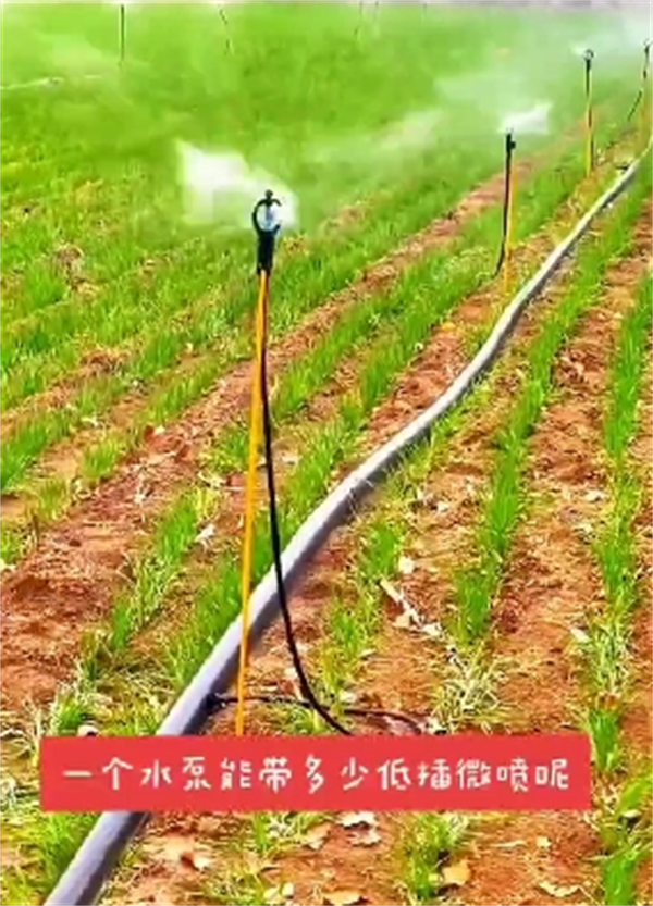 滴灌带